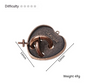 Brainy Locks Puzzle Set
